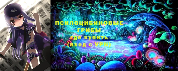 дживик Нефтекумск