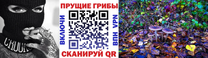 Псилоцибиновые грибы Cubensis  Купить закладки  Фролово 